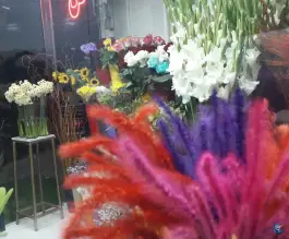 عکس فروشگاه گل سپاس، هشت بهشت شرقی، اصفهان 4