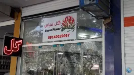 عکس فروشگاه گل سپاس، هشت بهشت شرقی، اصفهان 5