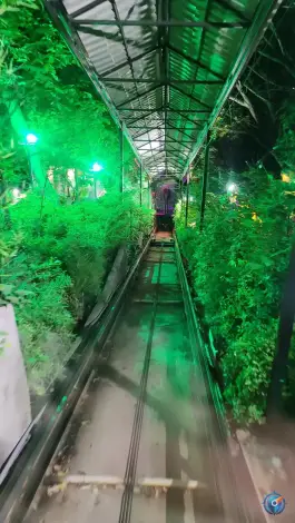 عکس باغ رستوران خانوادگی باغستان پونک تهران 7