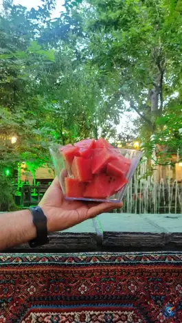 عکس باغ رستوران خانوادگی باغستان پونک تهران 10