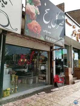 قصر گل یخ در ماهدشت کرج