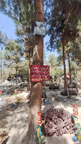 عکس گلزار شهدای گمنام بهشت زهرا تهران 6