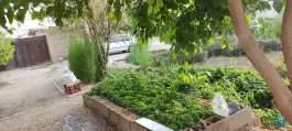 عکس سبزی فروشی، محله شهرک والفجر، شیراز 4