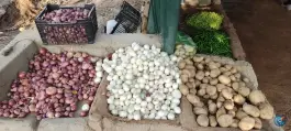 عکس سبزی فروشی، محله شهرک والفجر، شیراز 6