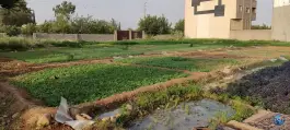 عکس سبزی فروشی، محله شهرک والفجر، شیراز 7