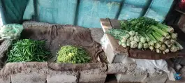 عکس سبزی فروشی، محله شهرک والفجر، شیراز 9