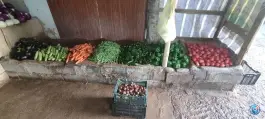 عکس سبزی فروشی، محله شهرک والفجر، شیراز 10