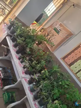 عکس فرهنگسرای مطهری، شهرک مطهری، شیراز 1