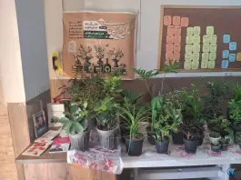 عکس فرهنگسرای مطهری، شهرک مطهری، شیراز 3