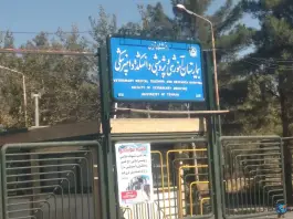 عکس بیمارستان و آموزشکده دامپزشکی، ماهدشت، کرج 2
