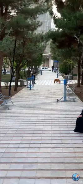 عکس پارک میخک عظیمیه کرج 1