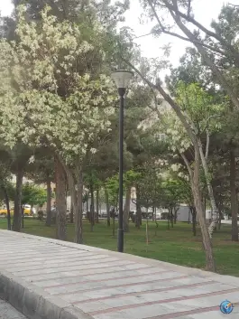 عکس پارک میخک عظیمیه کرج 2