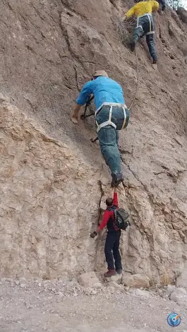 عکس بوستان بام سبز شیراز، بلوار جواد الائمه 5