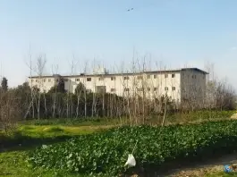 عکس های موسسه آموزش عالی غیر انتفاعی توحید گلوگاه