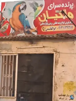 پرنده سرای ماکیان، هدایت - قلعه شور، اصفهان