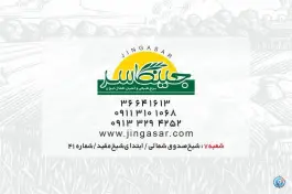 عکس برنج جینگاسر، شیخ مفید، اصفهان 5