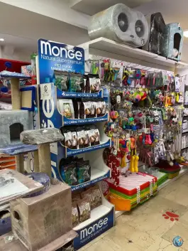 عکس بیمارستان شبانه روزی دامپزشکی ابوریحان، معلم، کرج 2