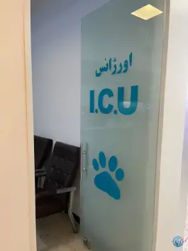 عکس بیمارستان شبانه روزی دامپزشکی ابوریحان، معلم، کرج 10