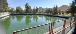 عکس استخر بزرگ آبی پارک جنگلی، قاین 1