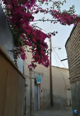 عکس حوزه علمیه علی بن الحسین ع، محله چهل اختران، قم 1