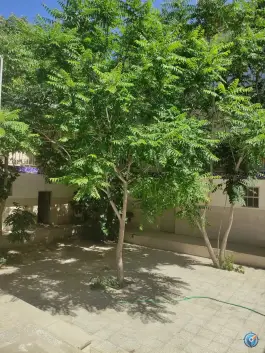 عکس حوزه علمیه علی بن الحسین ع، محله چهل اختران، قم 3