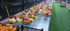 عکس باغ و عمارت ونک، شیراز 2