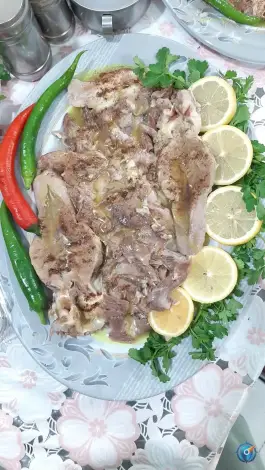 عکس طباخی معین الرضا، احسان «عسگریه»، مشهد 5