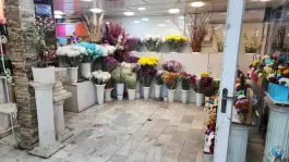 عکس های سوپر گل صدف شاهین ویلا کرج