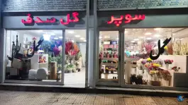 عکس سوپر گل صدف شاهین ویلا کرج 2