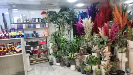 عکس سوپر گل صدف شاهین ویلا کرج 4