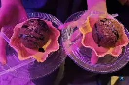 عکس جوجه سرای بی بی جان، خلج، مشهد 2
