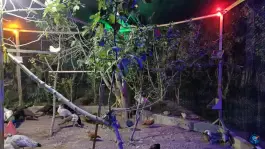 عکس مجموعه ماکیان زیبای رهنان، محله لیمجیر، اصفهان 4
