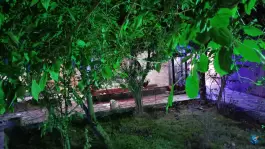 عکس مجموعه ماکیان زیبای رهنان، محله لیمجیر، اصفهان 5