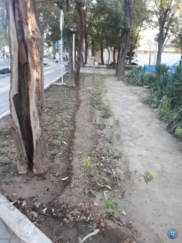 عکس بوستان درنا، محله آیت الله کاشانی، قم 2