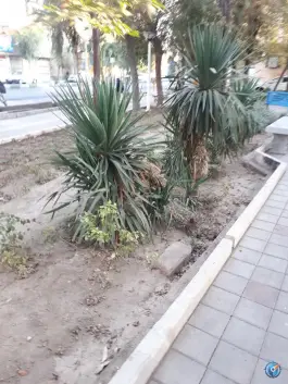عکس بوستان درنا، محله آیت الله کاشانی، قم 3