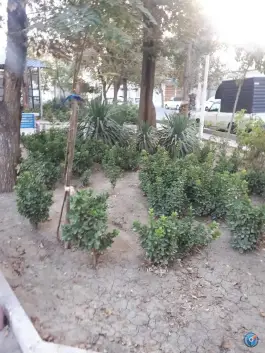 عکس بوستان درنا، محله آیت الله کاشانی، قم 6