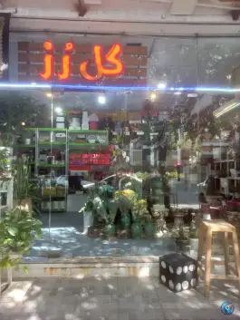 گلفروشی رز عسگریه اصفهان