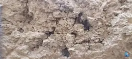 عکس قلعه قدیمی پاژ، مشهد 4