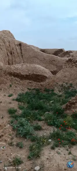عکس قلعه قدیمی پاژ، مشهد 6