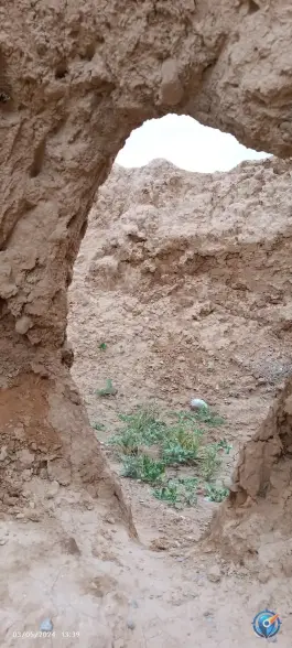 عکس قلعه قدیمی پاژ، مشهد 9