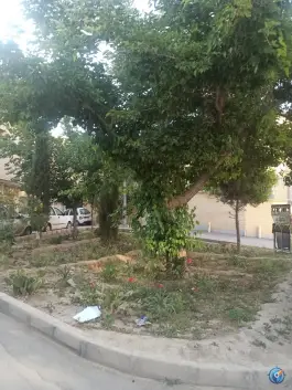 عکس باغچه آسیاب یک پری، محله جامی، اصفهان 1