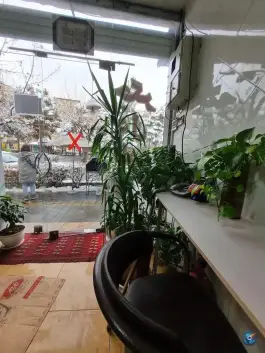 عکس جگرکی دوستان، پونک، تهران 3