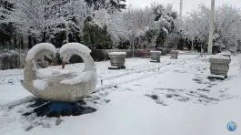 عکس بوستان نجمه، رسالت، قم 9