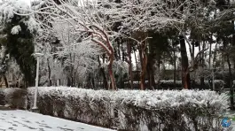 عکس بوستان نجمه، رسالت، قم 10