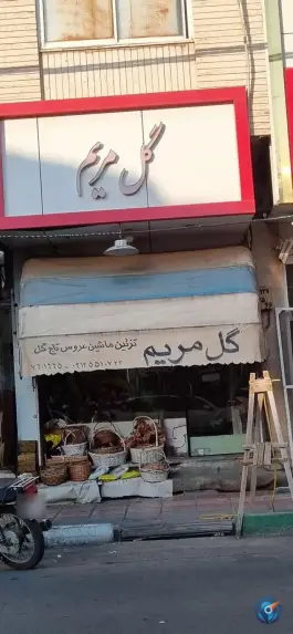 عکس گل مریم انقلاب «در بهشت» قم 1