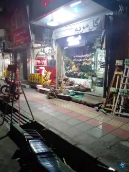 عکس گل مریم انقلاب «در بهشت» قم 2