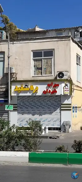 عکس های طباخی بره سفید، ده دی، مشهد