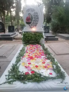 قطعه 42 دارالرحمه شیراز