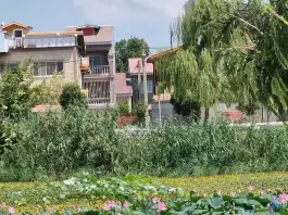 عکس استخر بزرگ ملاط، بخش کومله، لنگرود 6