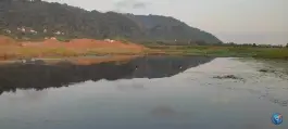 عکس استخر بزرگ ملاط، بخش کومله، لنگرود 9
